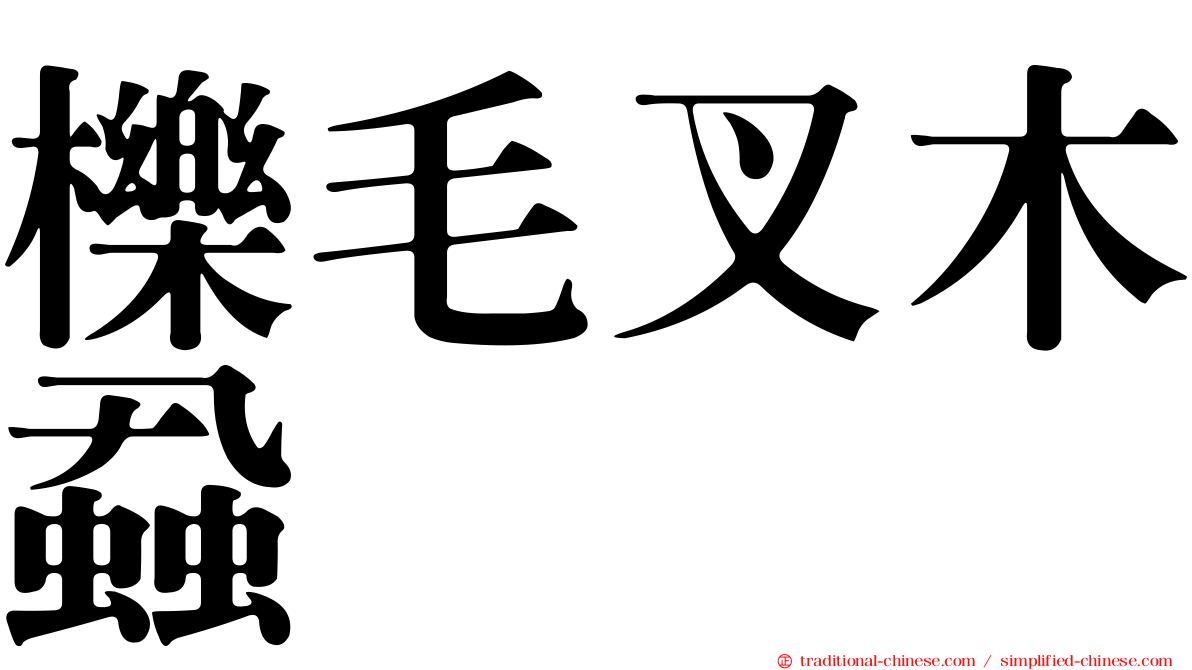 櫟毛叉木蝨