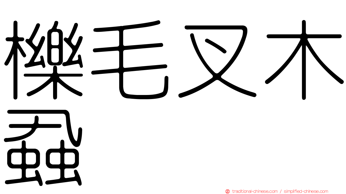 櫟毛叉木蝨