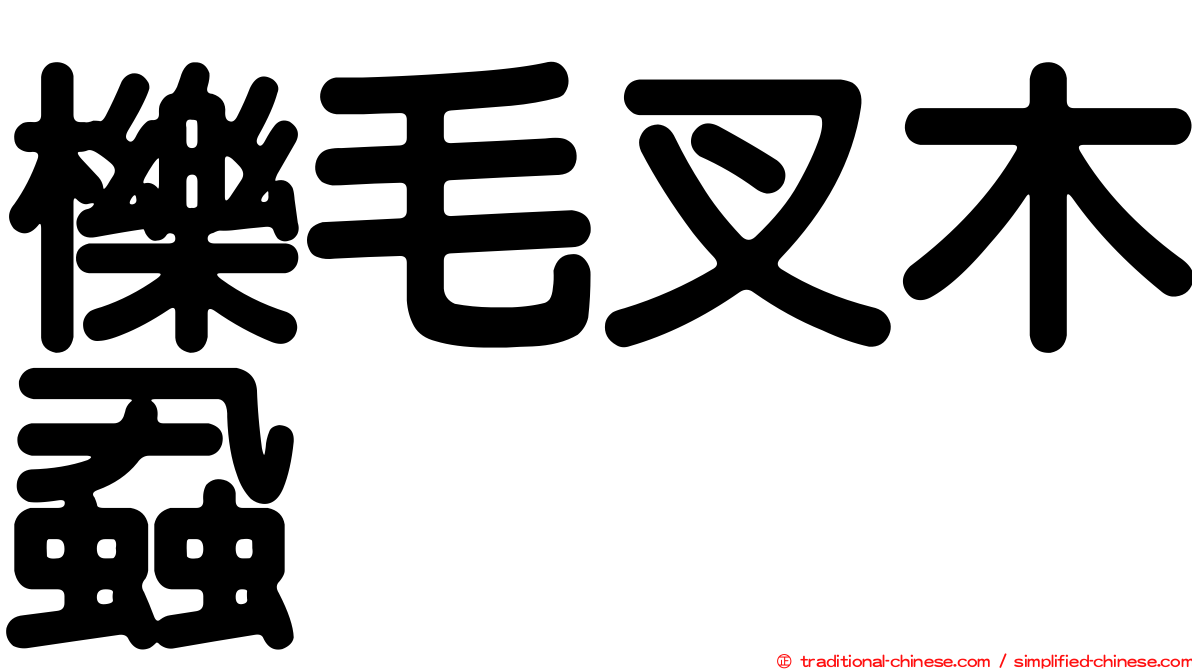 櫟毛叉木蝨