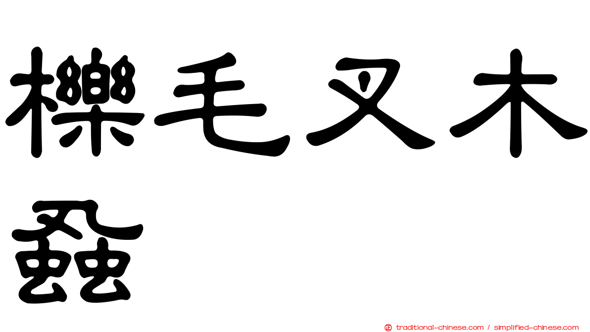 櫟毛叉木蝨