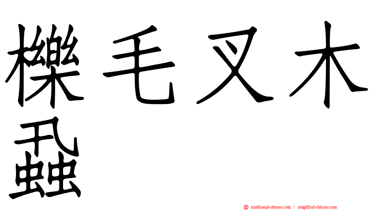 櫟毛叉木蝨