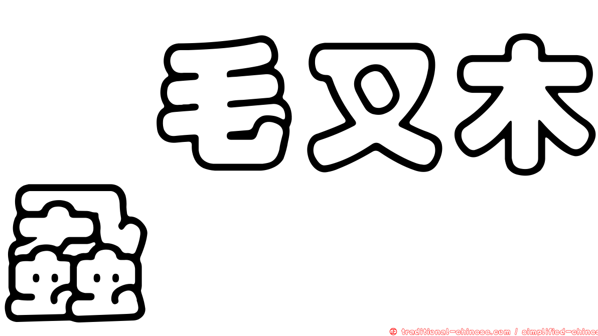櫟毛叉木蝨