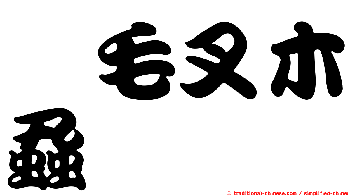 櫟毛叉木蝨