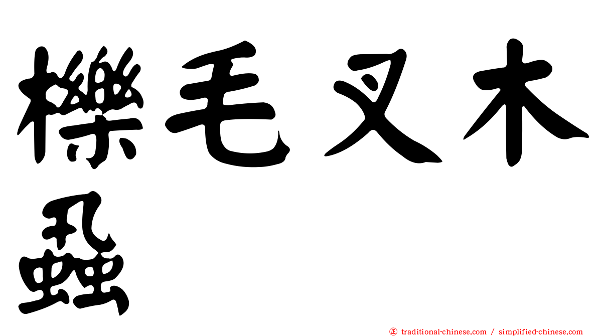 櫟毛叉木蝨