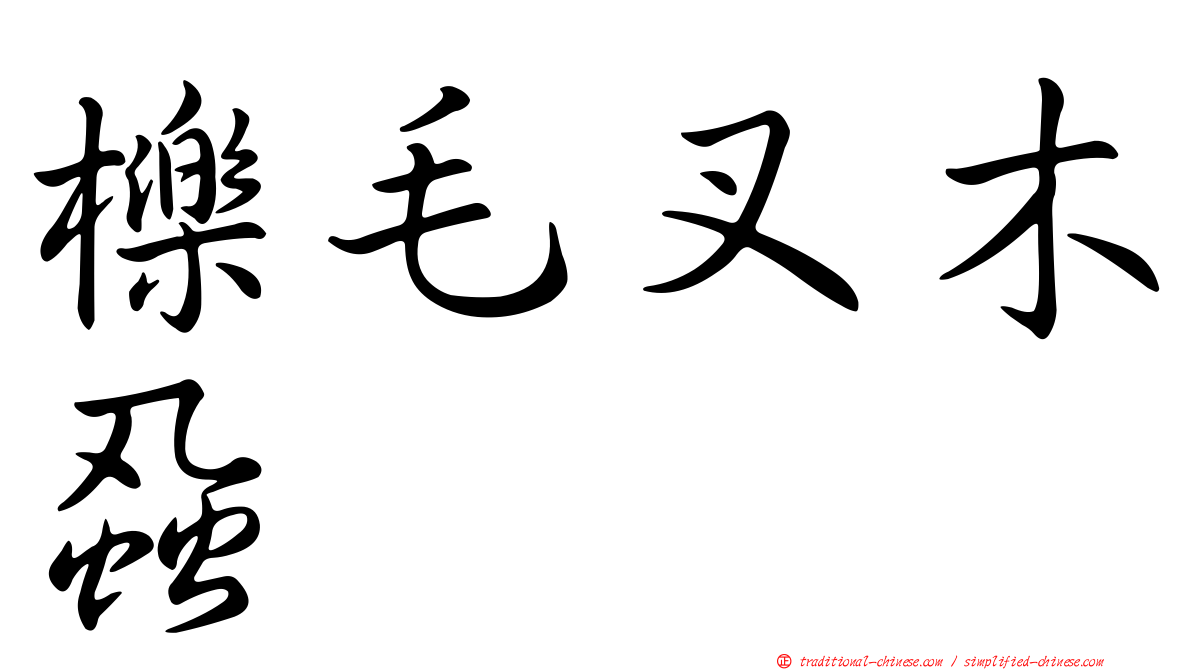 櫟毛叉木蝨