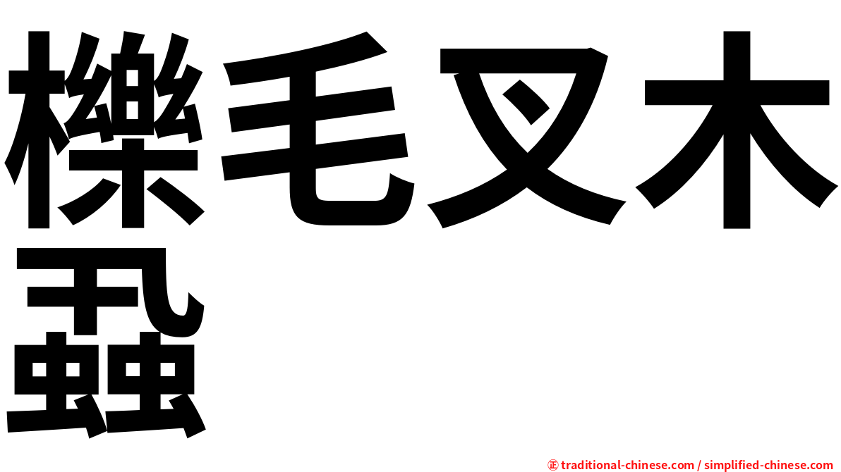 櫟毛叉木蝨
