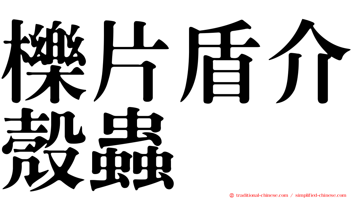 櫟片盾介殼蟲