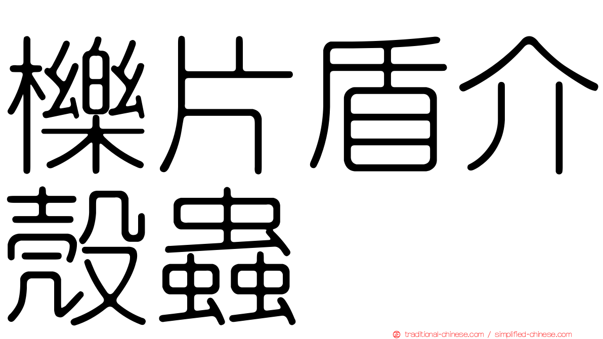 櫟片盾介殼蟲