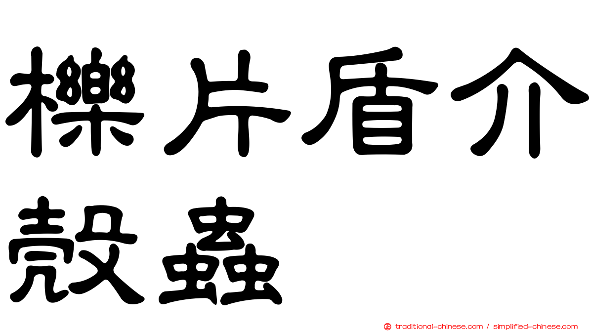 櫟片盾介殼蟲