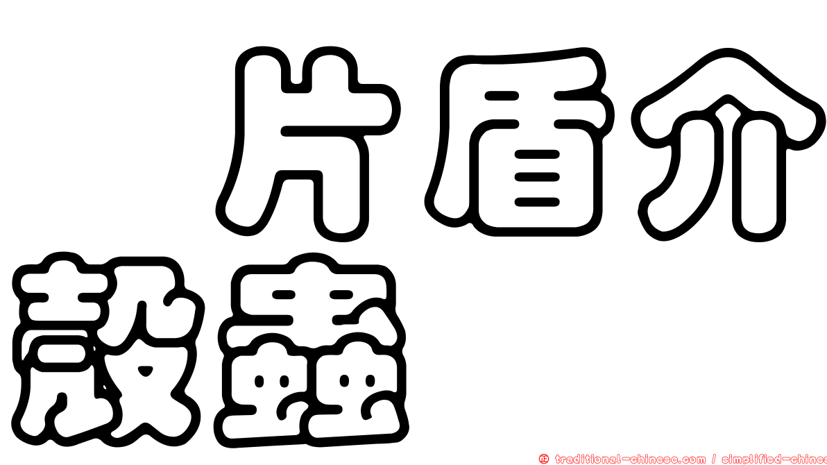櫟片盾介殼蟲