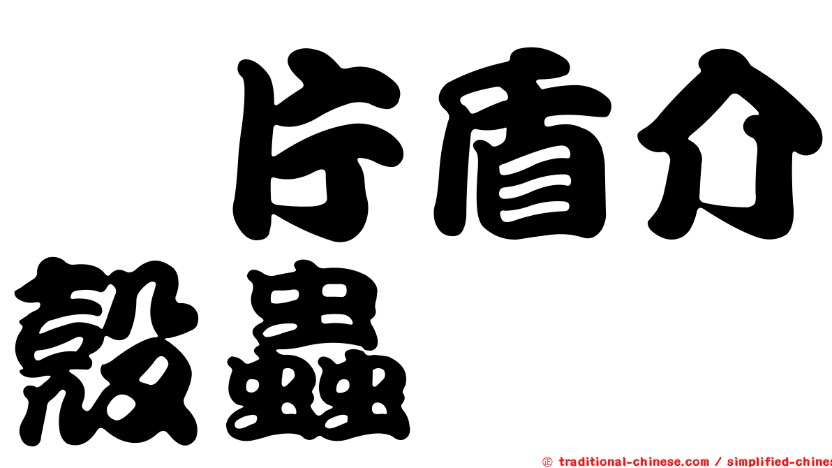 櫟片盾介殼蟲