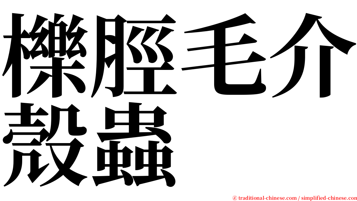 櫟脛毛介殼蟲 serif font