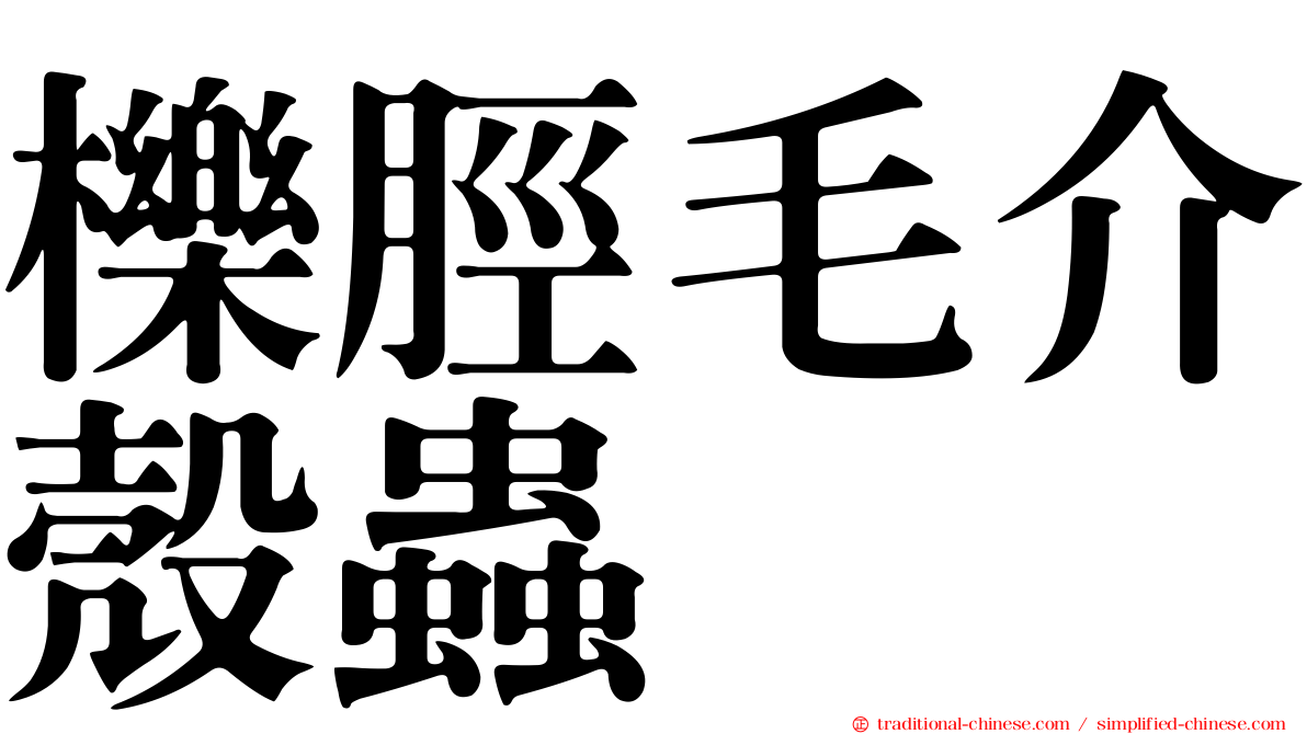 櫟脛毛介殼蟲