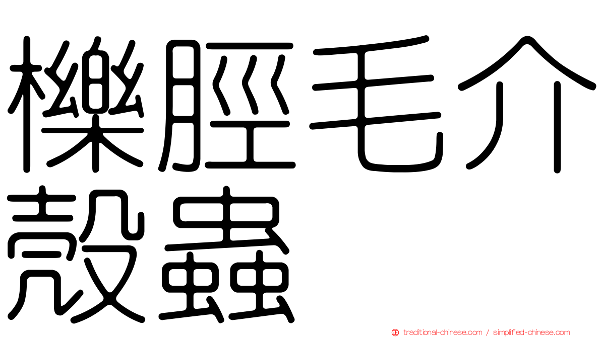 櫟脛毛介殼蟲