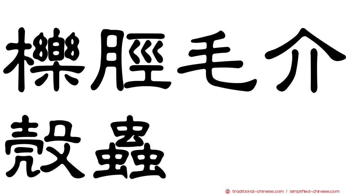 櫟脛毛介殼蟲