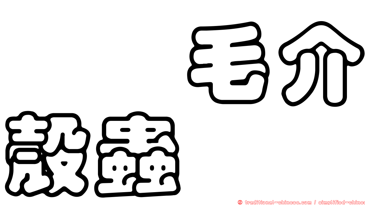 櫟脛毛介殼蟲