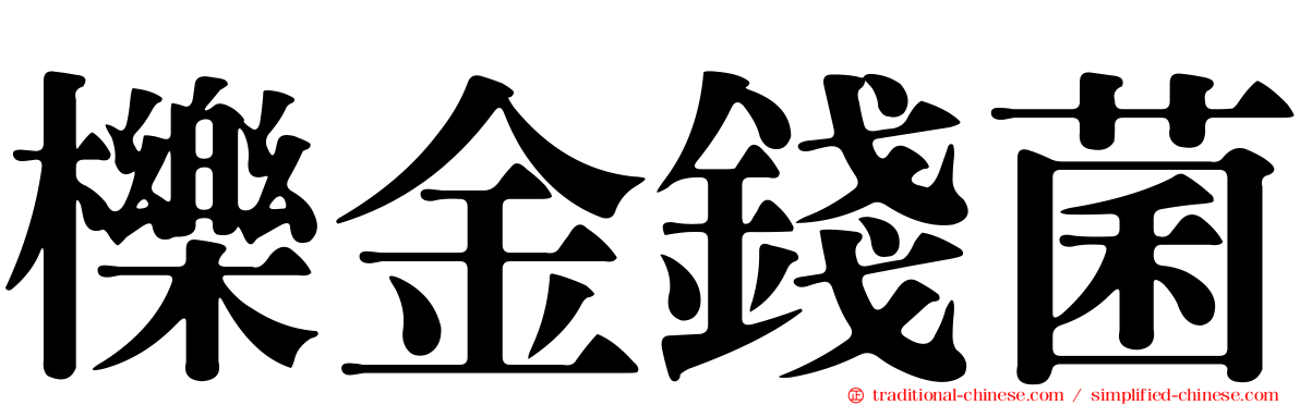 櫟金錢菌