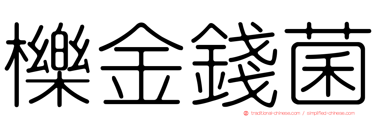 櫟金錢菌