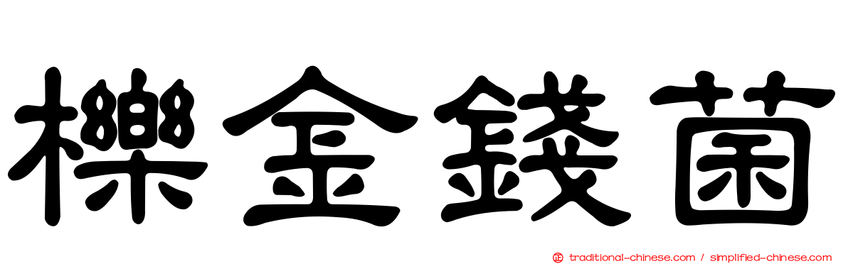 櫟金錢菌
