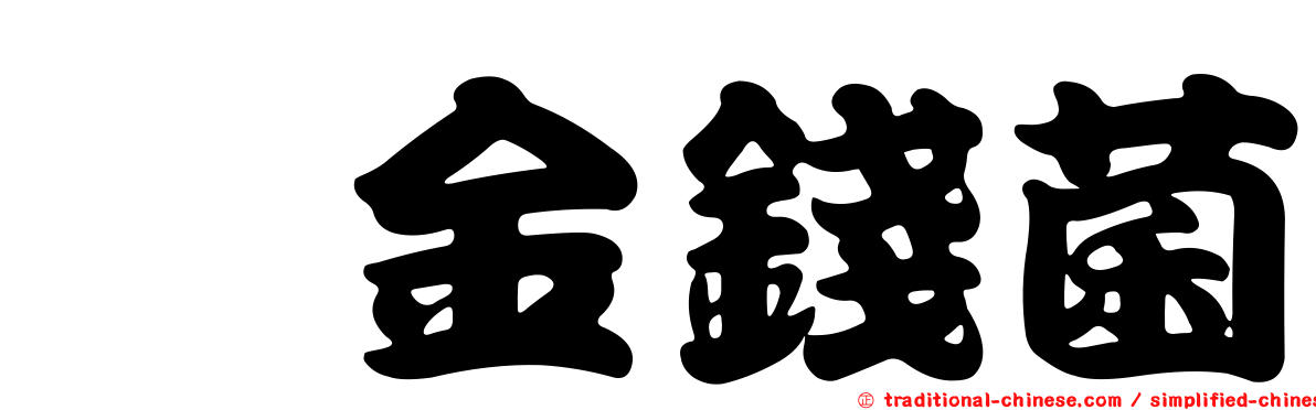 櫟金錢菌
