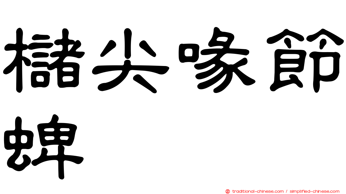 櫧尖喙節蜱