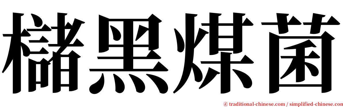 櫧黑煤菌 serif font