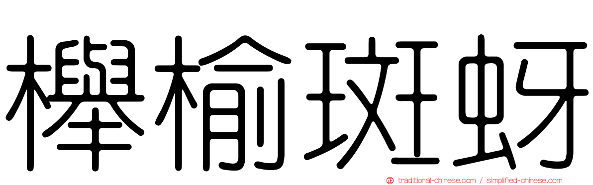 櫸榆斑蚜
