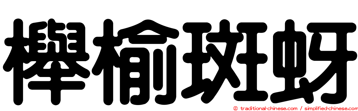 櫸榆斑蚜