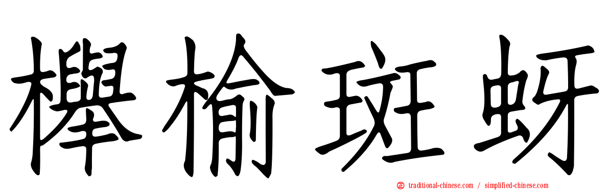 櫸榆斑蚜