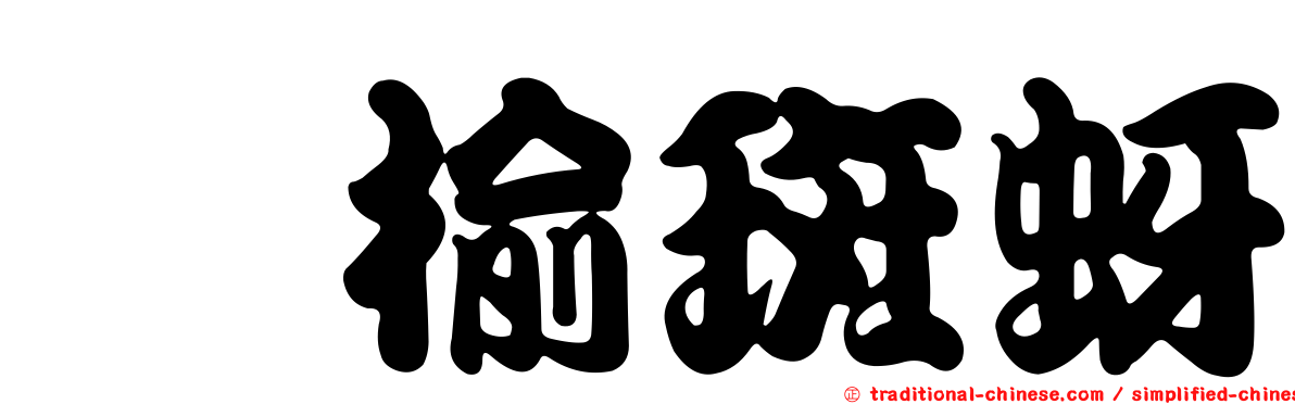 櫸榆斑蚜