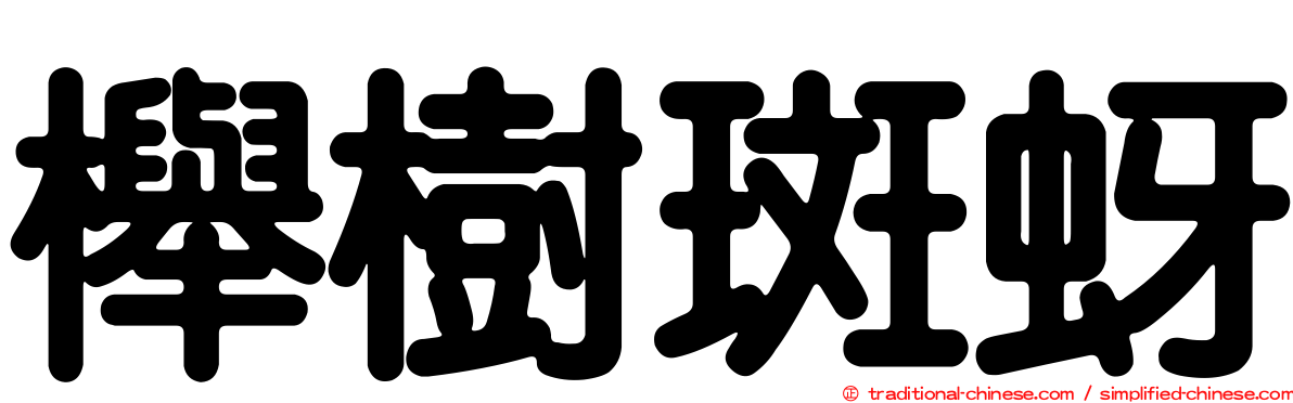 櫸樹斑蚜