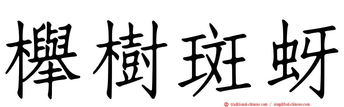 櫸樹斑蚜