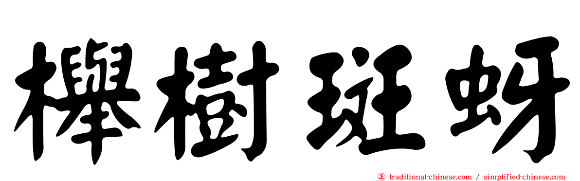 櫸樹斑蚜