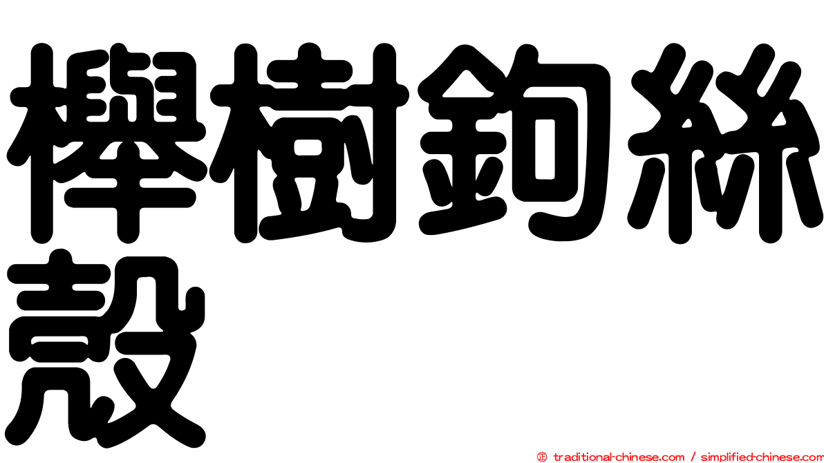 櫸樹鉤絲殼