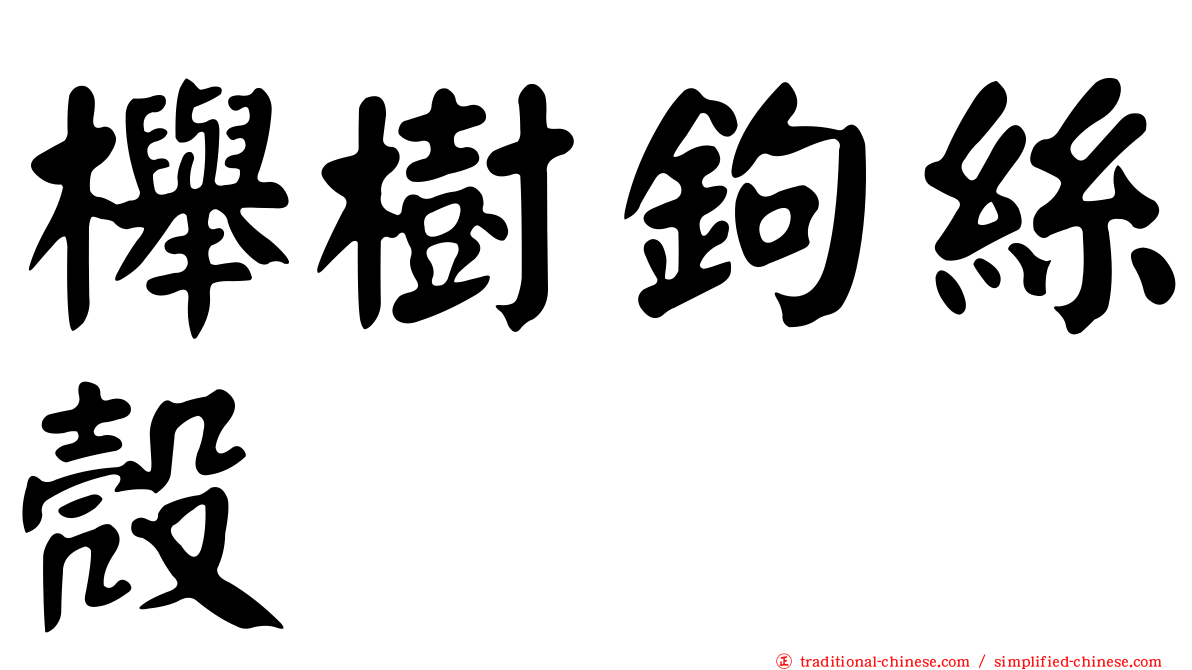 櫸樹鉤絲殼