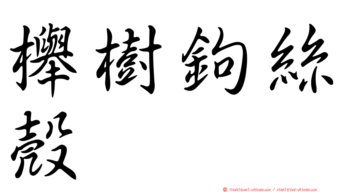櫸樹鉤絲殼