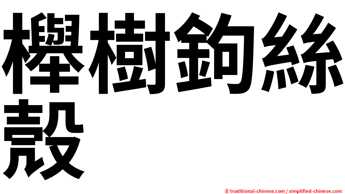 櫸樹鉤絲殼