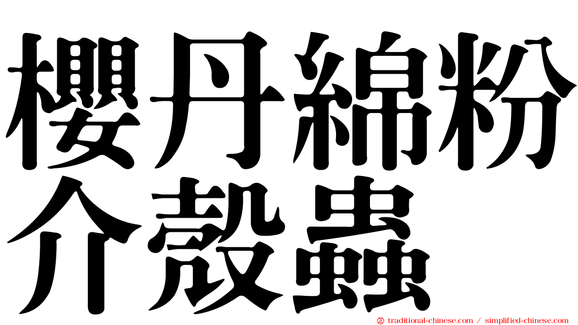 櫻丹綿粉介殼蟲
