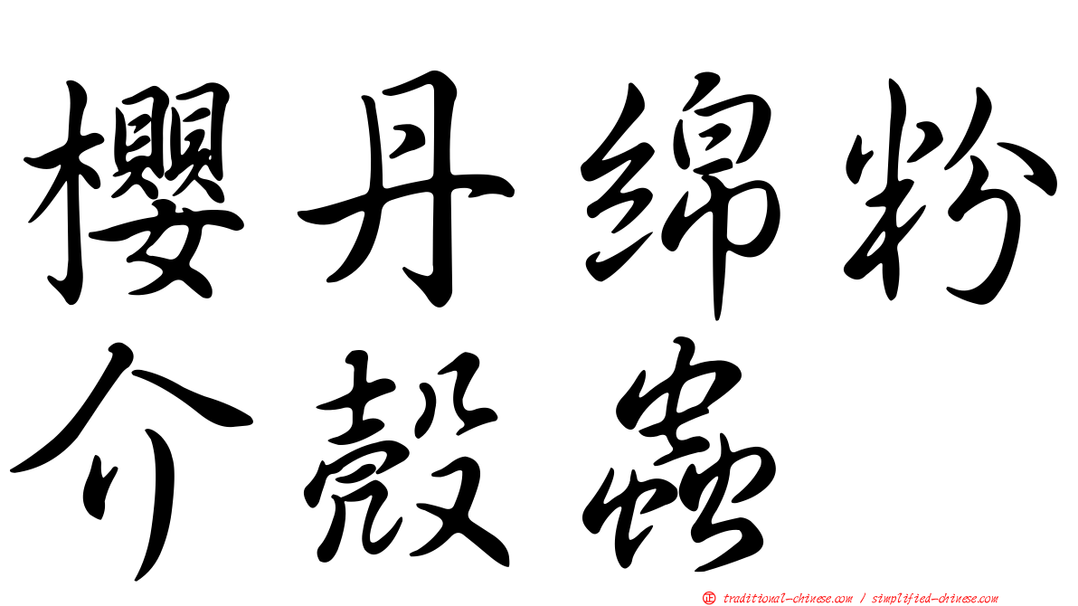 櫻丹綿粉介殼蟲