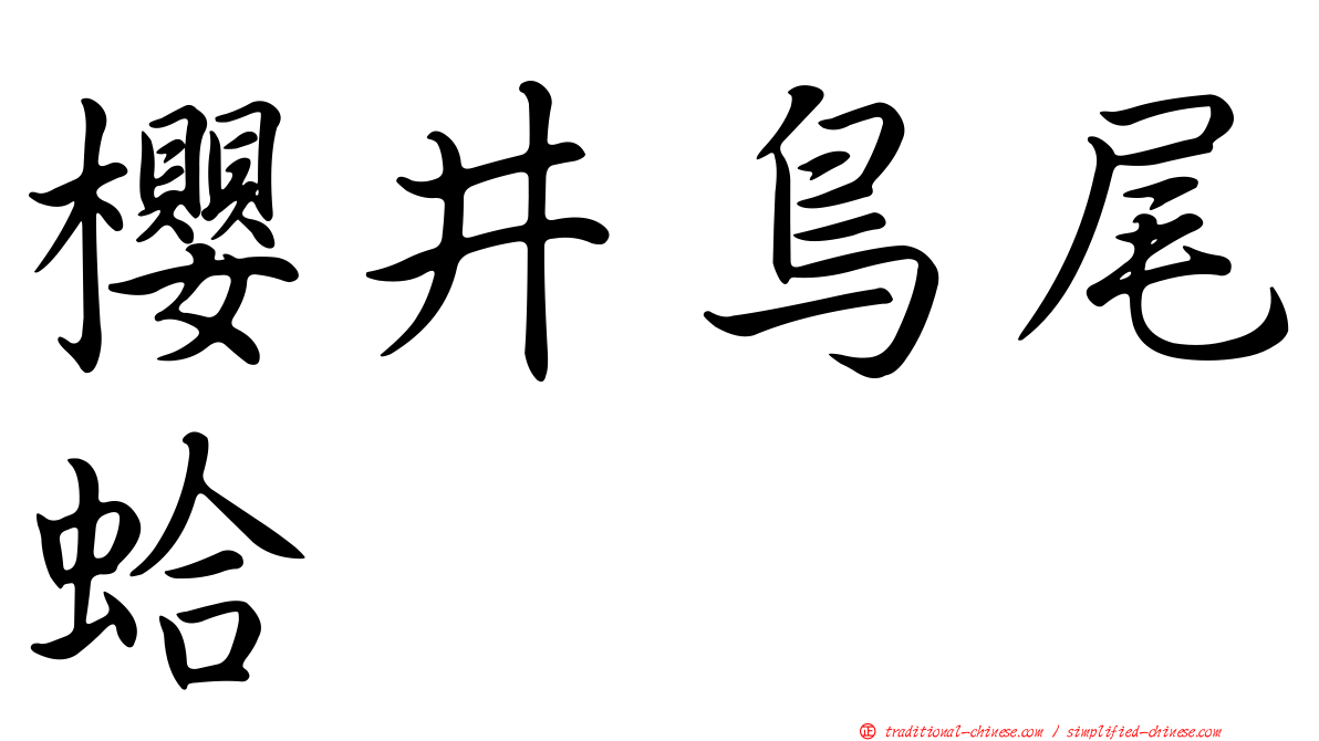 櫻井鳥尾蛤