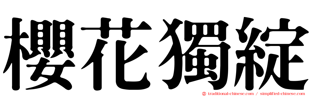 櫻花獨綻