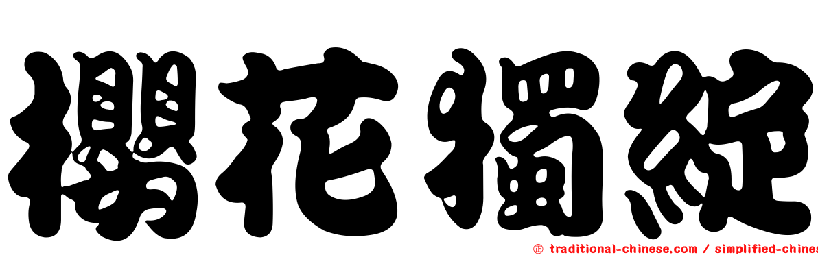 櫻花獨綻