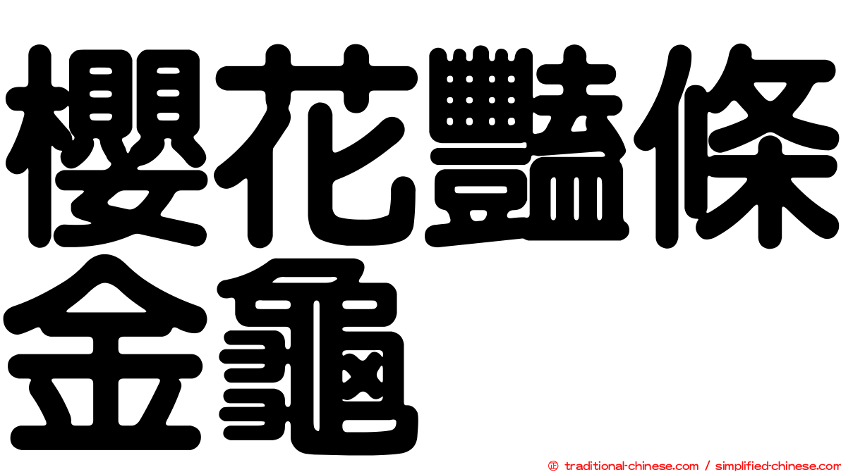 櫻花豔條金龜