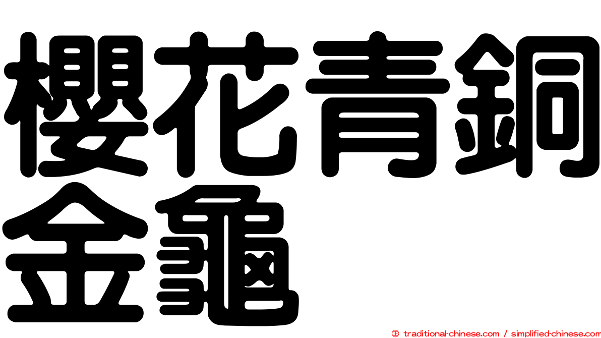 櫻花青銅金龜