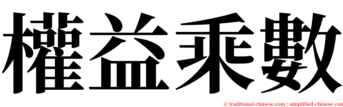 權益乘數 serif font