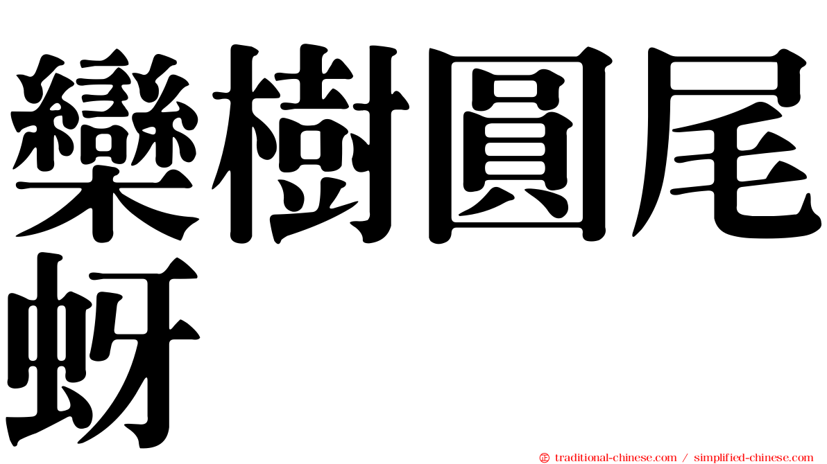 欒樹圓尾蚜