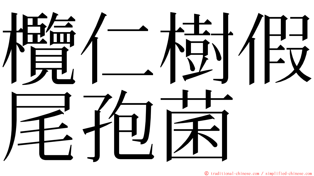 欖仁樹假尾孢菌 ming font