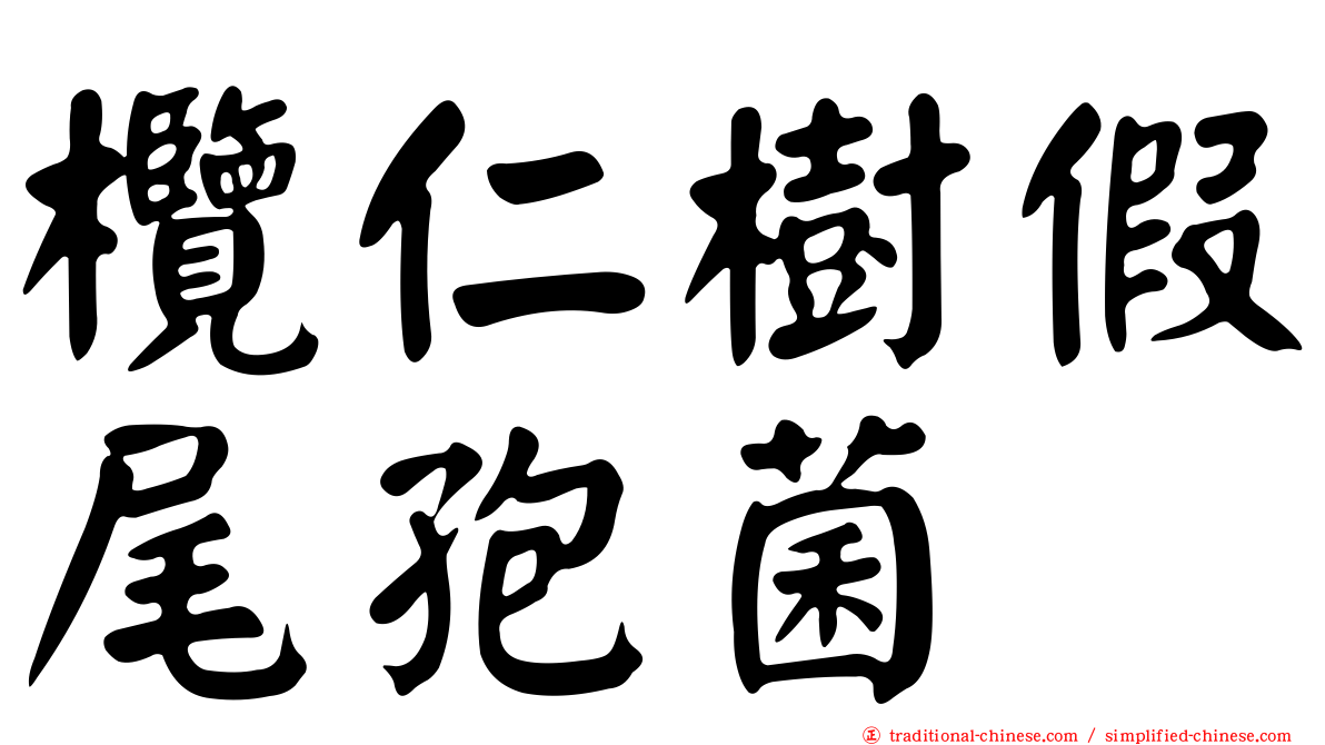 欖仁樹假尾孢菌