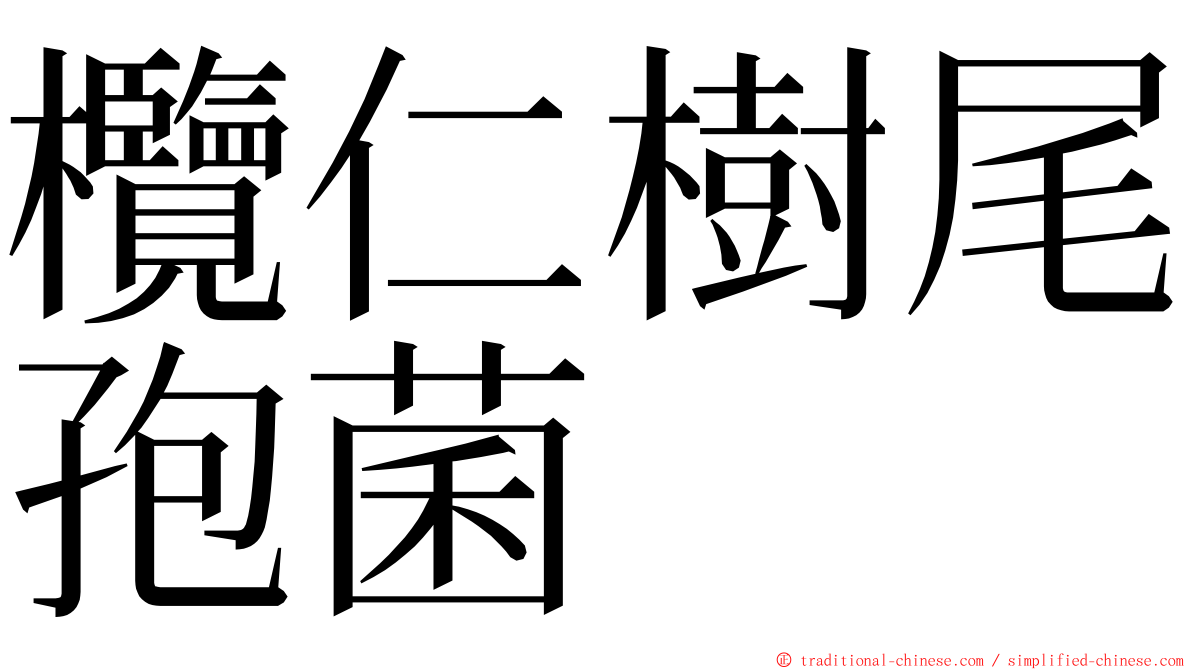 欖仁樹尾孢菌 ming font
