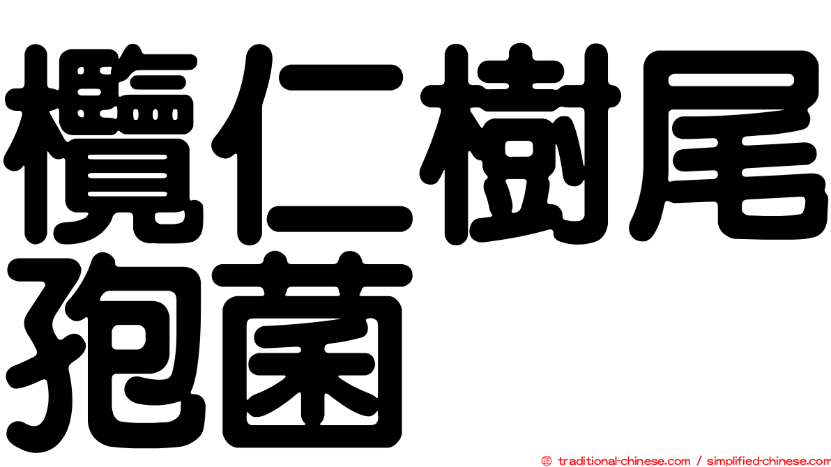欖仁樹尾孢菌